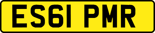 ES61PMR
