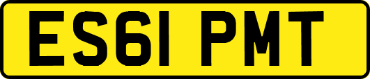 ES61PMT
