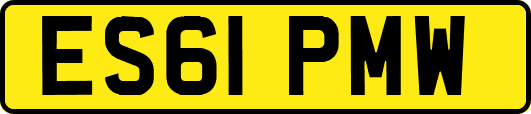 ES61PMW