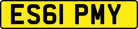 ES61PMY