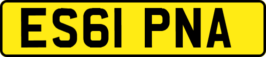 ES61PNA