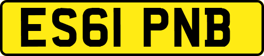 ES61PNB