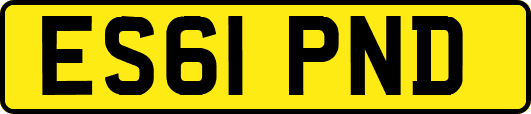 ES61PND