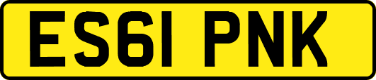 ES61PNK