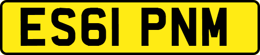 ES61PNM