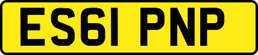 ES61PNP