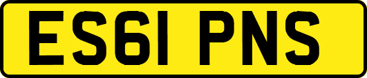 ES61PNS