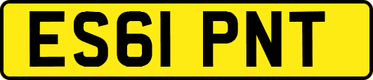 ES61PNT
