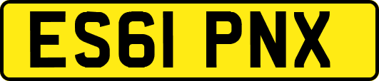 ES61PNX