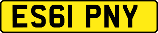 ES61PNY
