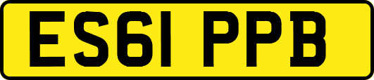 ES61PPB