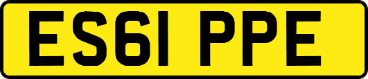 ES61PPE
