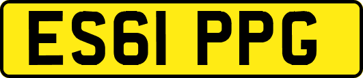 ES61PPG