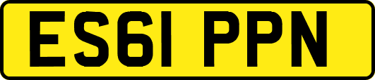 ES61PPN