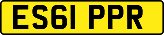 ES61PPR