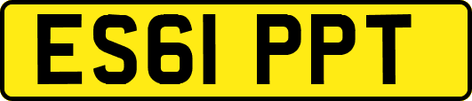 ES61PPT