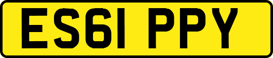 ES61PPY