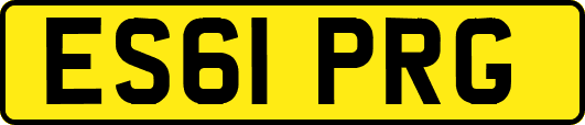 ES61PRG