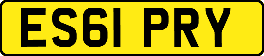 ES61PRY