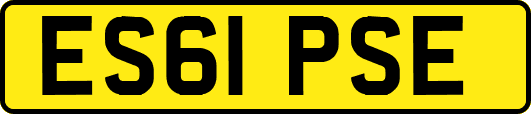 ES61PSE