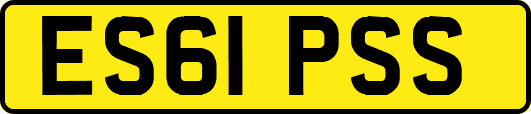 ES61PSS