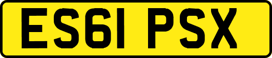 ES61PSX