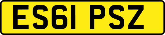 ES61PSZ