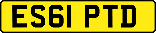 ES61PTD