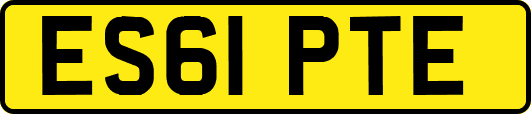 ES61PTE
