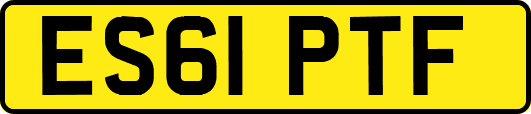 ES61PTF