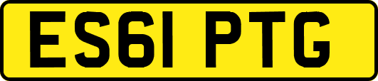ES61PTG
