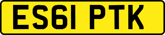 ES61PTK