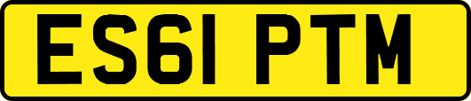 ES61PTM