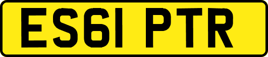 ES61PTR