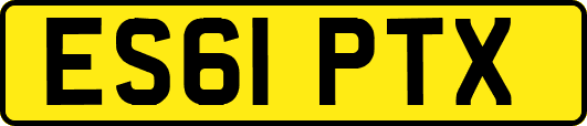 ES61PTX