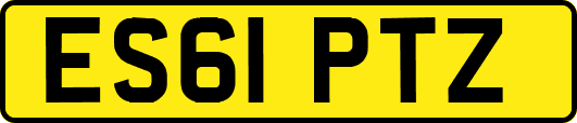 ES61PTZ