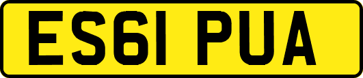 ES61PUA