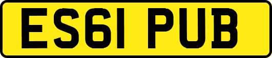ES61PUB