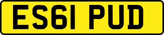ES61PUD