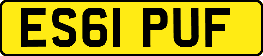 ES61PUF