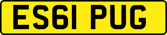 ES61PUG