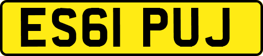 ES61PUJ