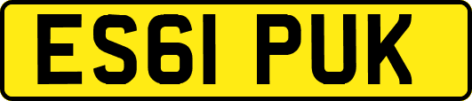 ES61PUK