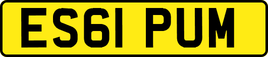ES61PUM