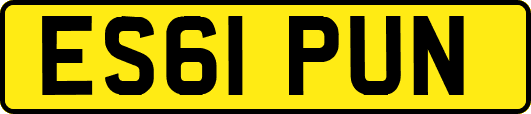 ES61PUN
