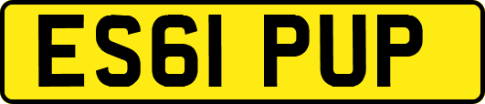 ES61PUP