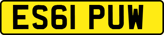 ES61PUW