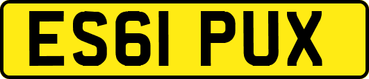 ES61PUX
