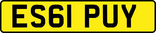 ES61PUY