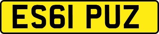 ES61PUZ
